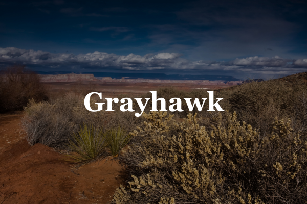 Grayhawk