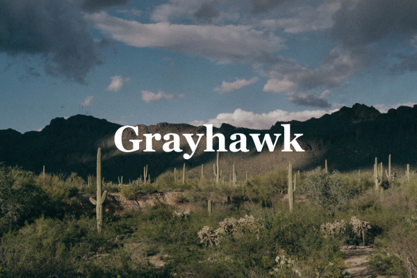 Grayhawk2